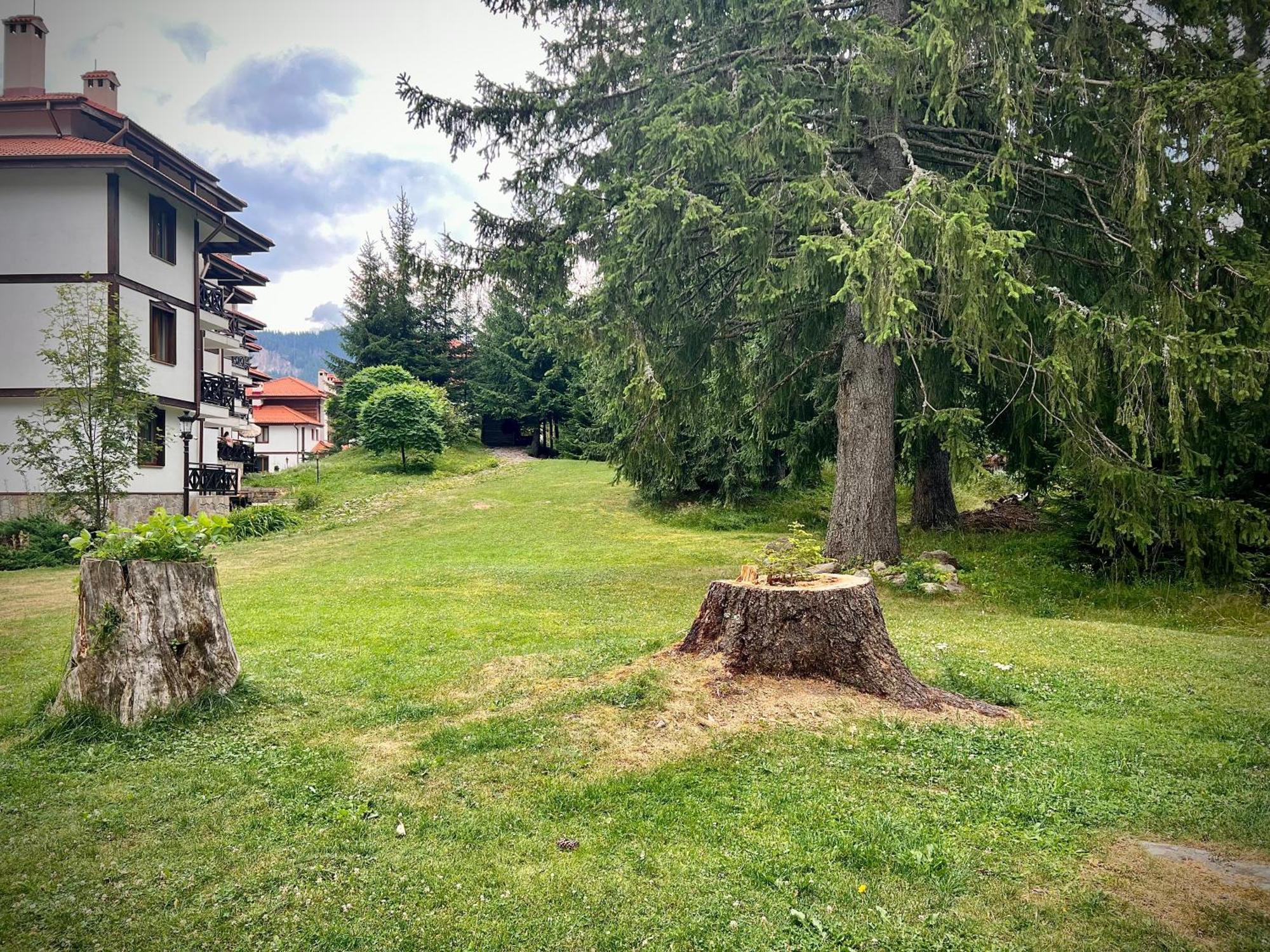 Relax Aпартаменти, Смолянски Езера, Вила Венера, К-С Маунтин Лейк Eksteriør bilde