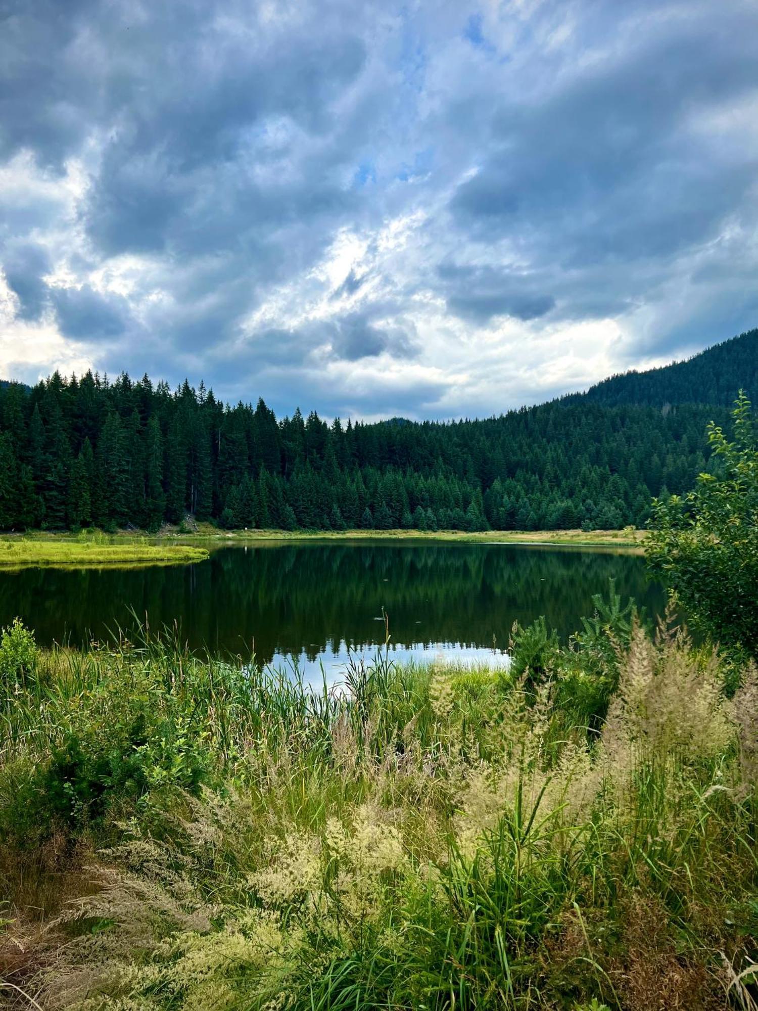 Relax Aпартаменти, Смолянски Езера, Вила Венера, К-С Маунтин Лейк Eksteriør bilde